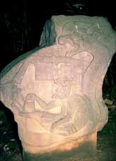 image # C25