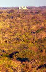 image # D10-click to enlarge