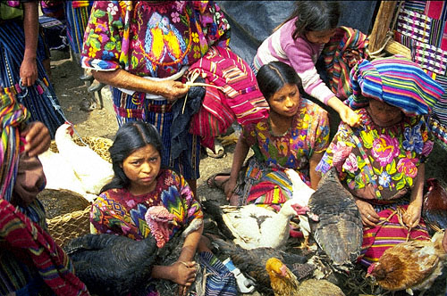 Mayan Women