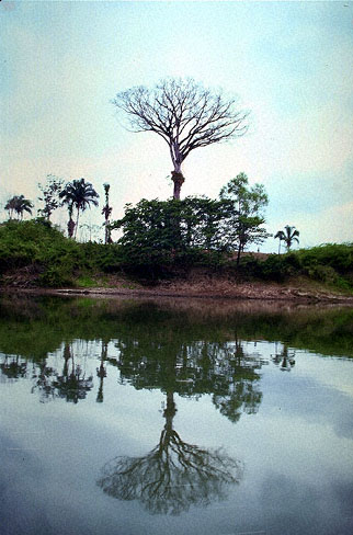 IMAGE # D90