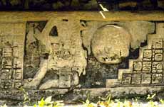 image # E62-click to enlarge
