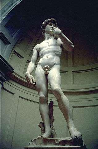 BRILLIANTSTOCK PHOTOGRAPHYMichaelangelo's DavidSculpture Florence